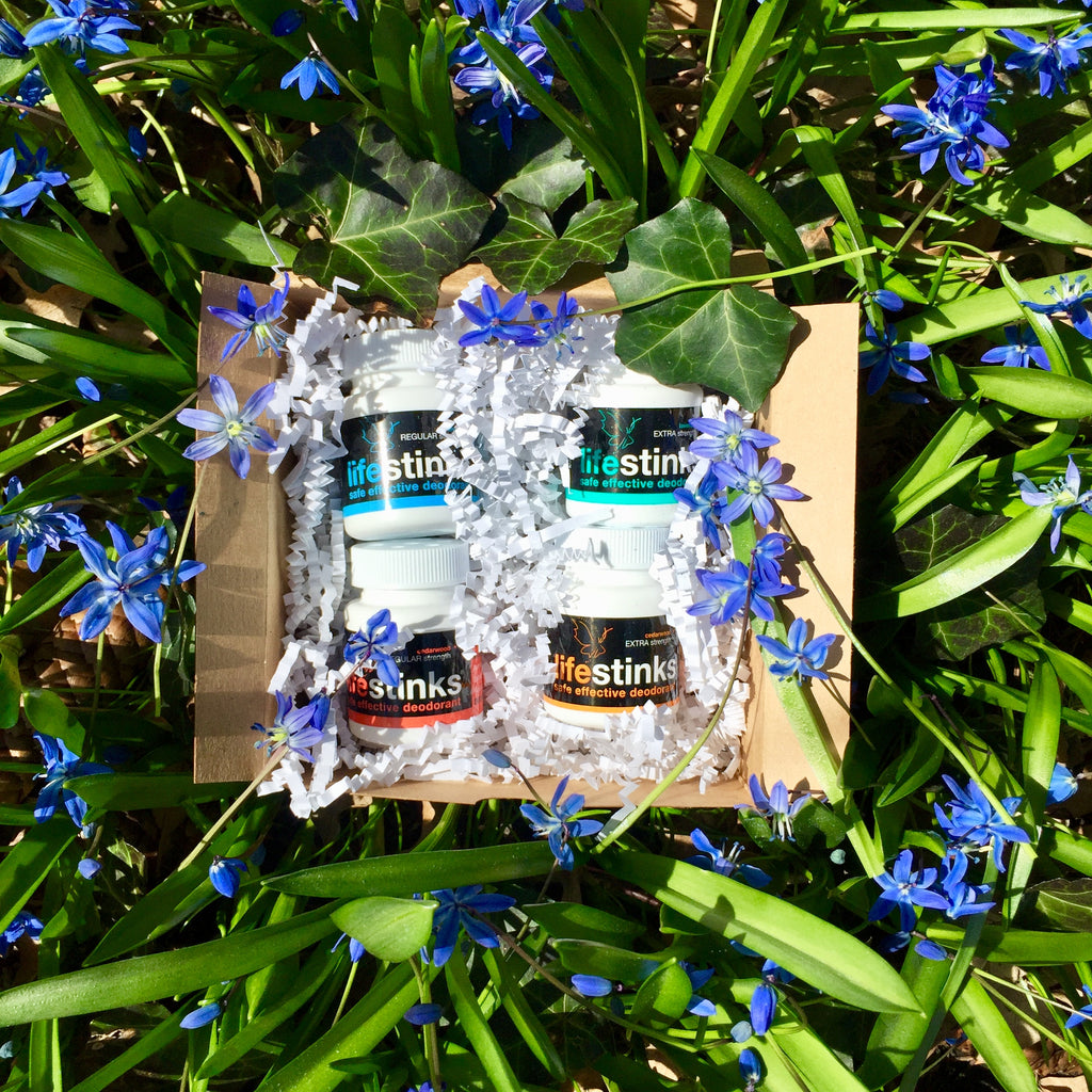 deodorant minis sampler 30% OFF (4 months of lifestinks)